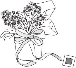 Упаковка для квітів у вазі або горщику