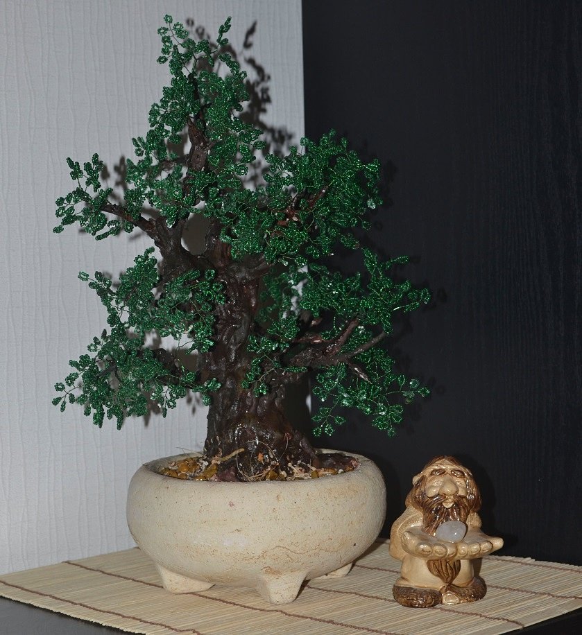 Всім подобаються карликові дерева в горщиках (бонсаї), але виростити їх дуже трудомістка і довгий заняття