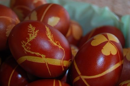 Як фарбувати яяйца   Для фарбування яєць найкраще використовувати лушпиння цибулі, яку збирають заздалегідь